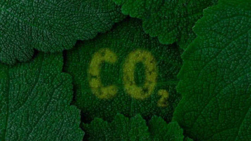 noticias sustentables