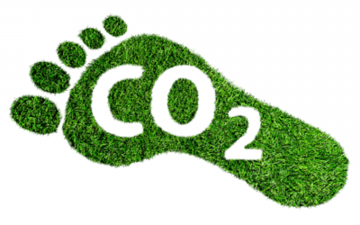 ¿Qué es la huella de carbono personal y cómo se mide?