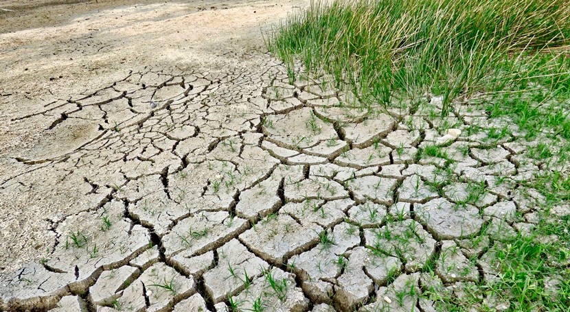 transicion ecologica