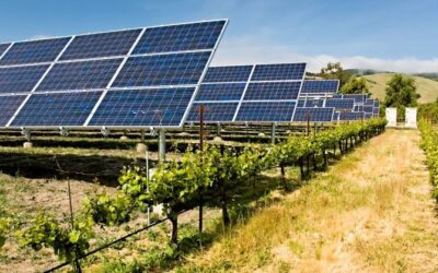 Agrovoltaica y bombeo solar como alternativas para seguir fomentando las renovables en Argentina