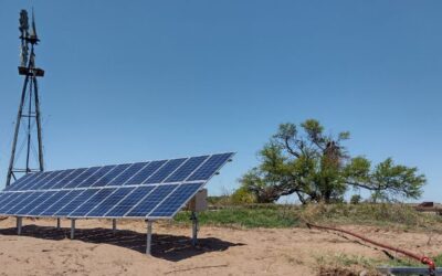 Renovar Energia